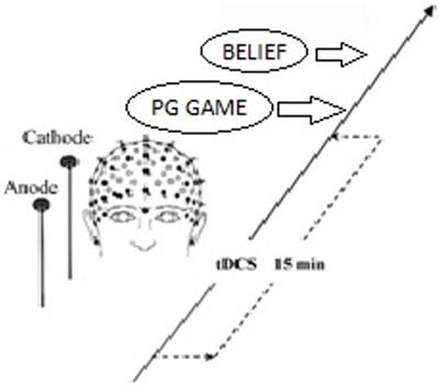 Transcranial Direct Current Stimulation of the Right Lateral Prefrontal Cortex Changes a priori Normative Beliefs in Voluntary Cooperation